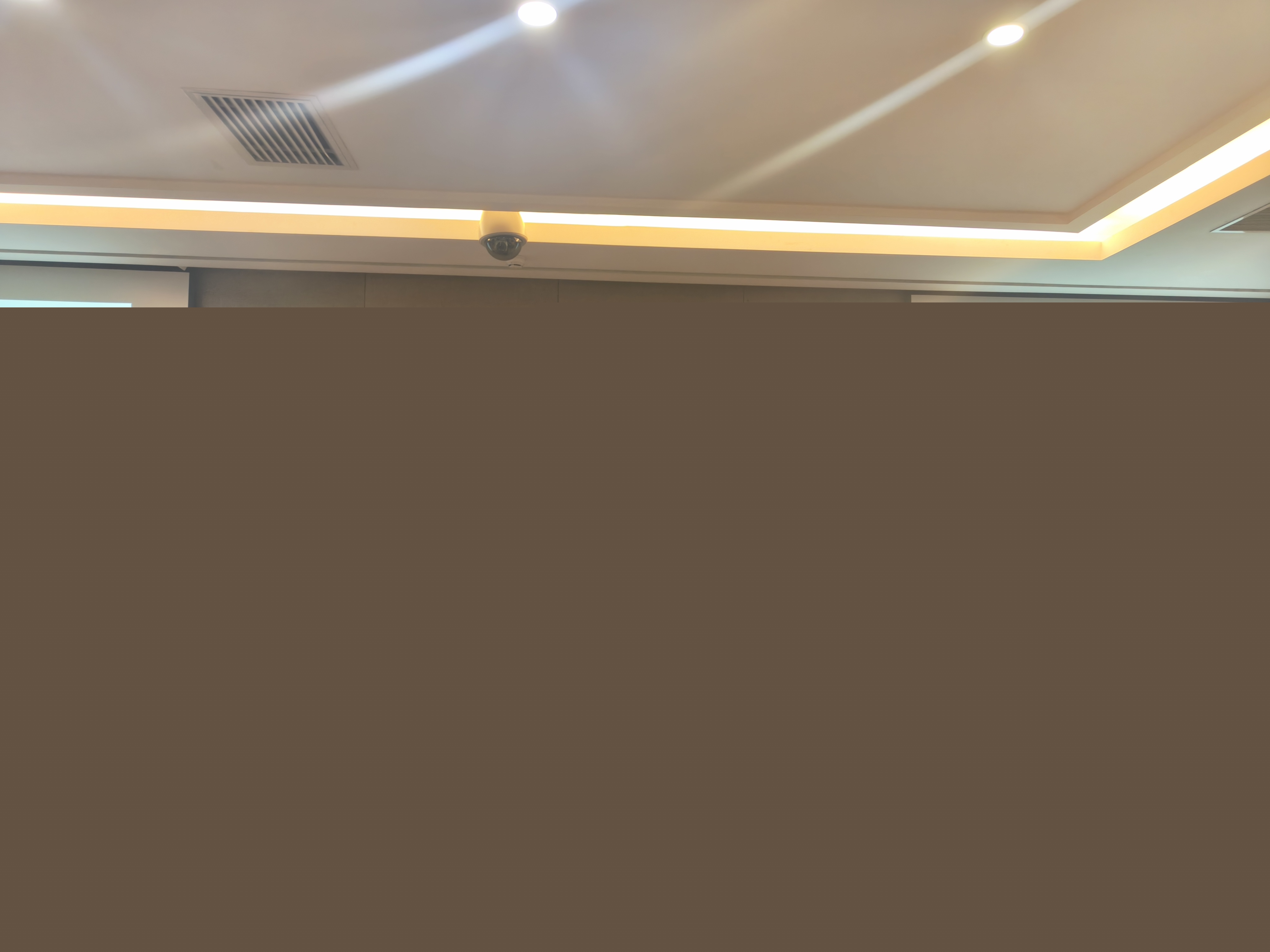 劉業(yè)鳳教授被聘任為委員